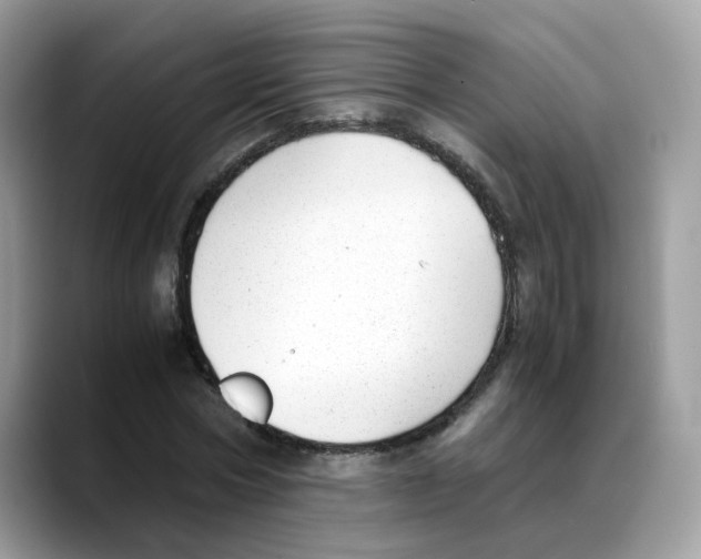 X0000088090778200706081749
