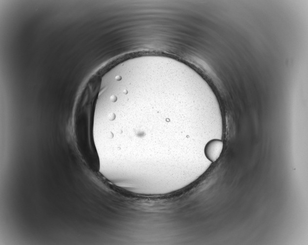 X0000088090780200706081749