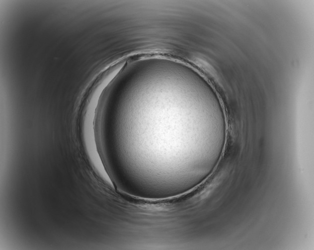 X0000088090781200706081749