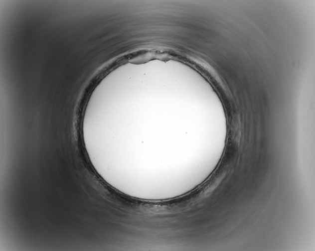 X0000088090783200706081749