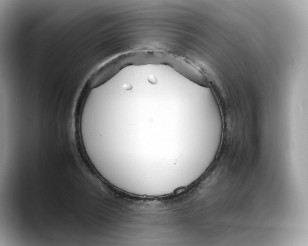 X0000088090784200706081749