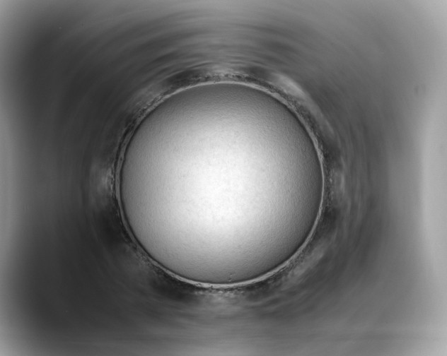 X0000088090785200706081749