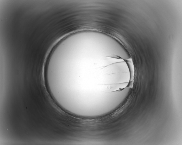 X0000088090788200706081749