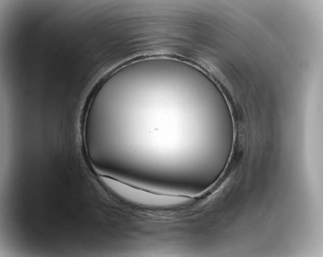 X0000088090789200706081749