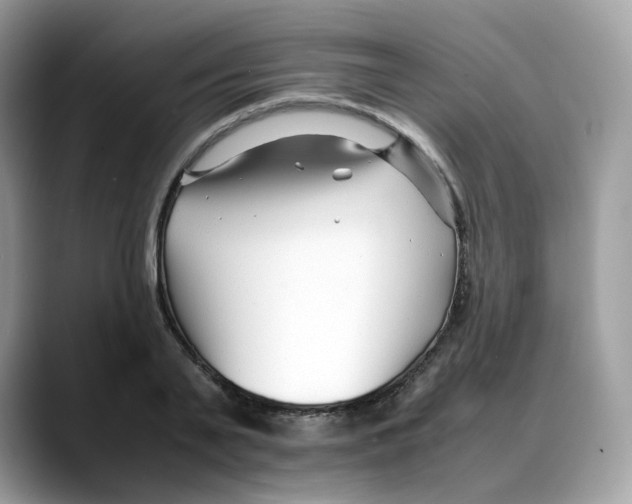 X0000088090791200706081749