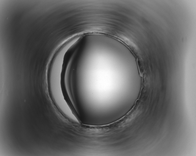 X0000088090792200706081749