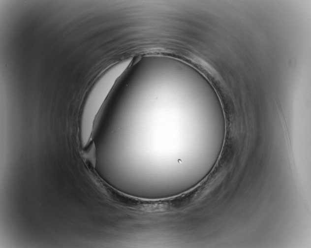 X0000088090793200706081749