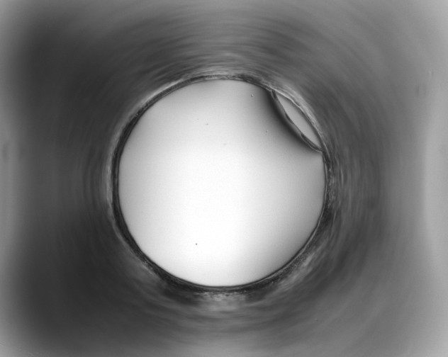 X0000088090795200706081749