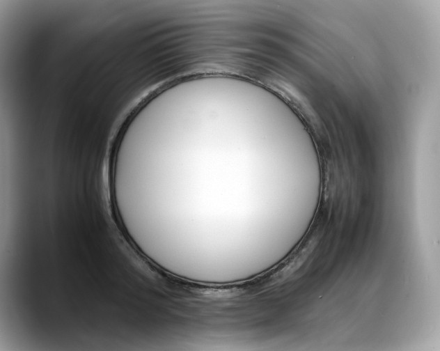 X0000088090796200706081749