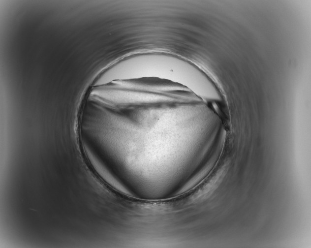 X0000088090797200706081749