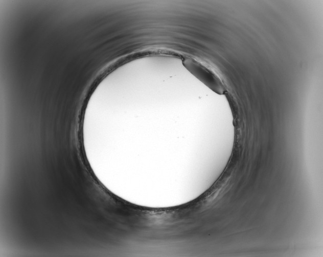 X0000088090799200706081749