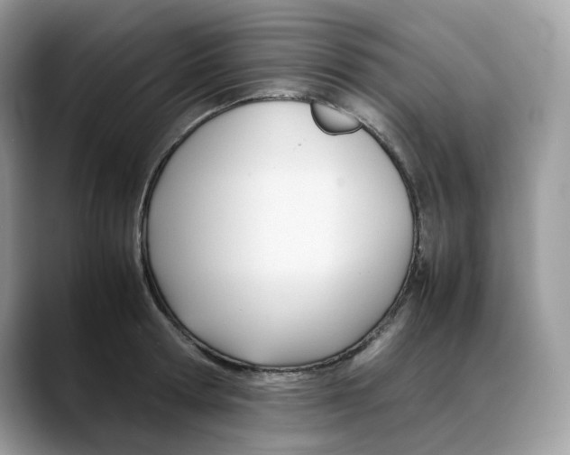 X0000088090802200706081749