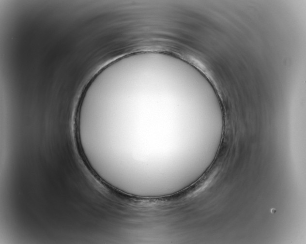 X0000088090803200706081749