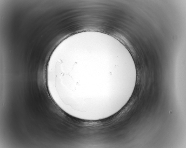X0000088090804200706081749