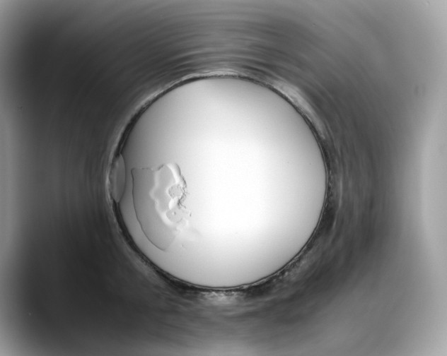 X0000088090805200706081749