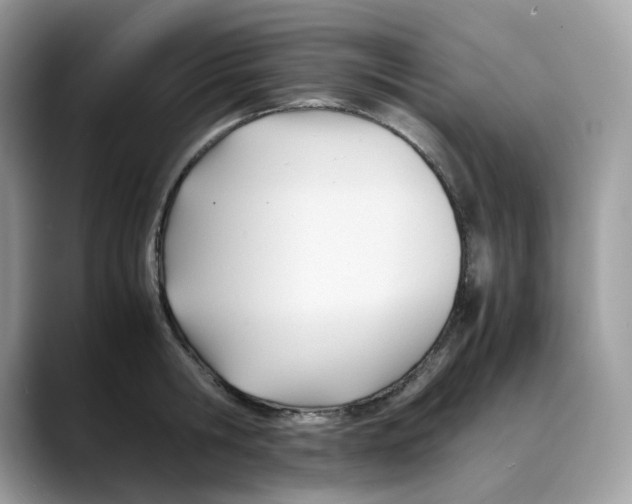 X0000088090806200706081749
