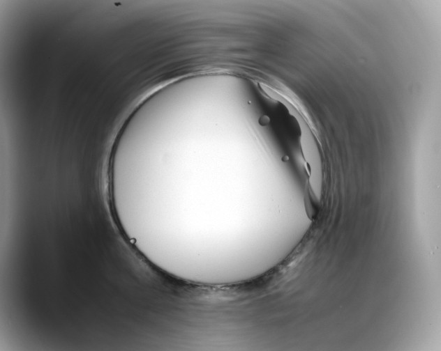 X0000088090811200706081749