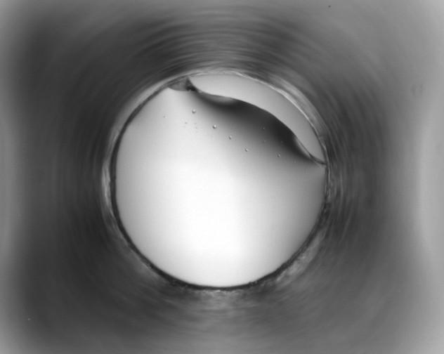 X0000088090812200706081749