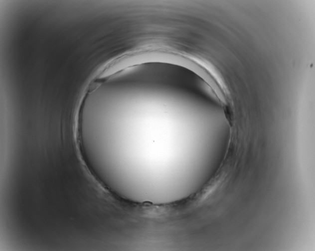 X0000088090815200706081749