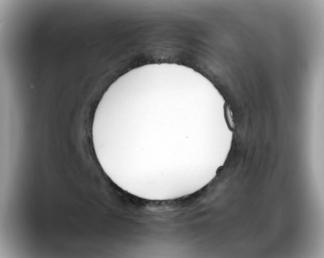 X0000088090817200706081748