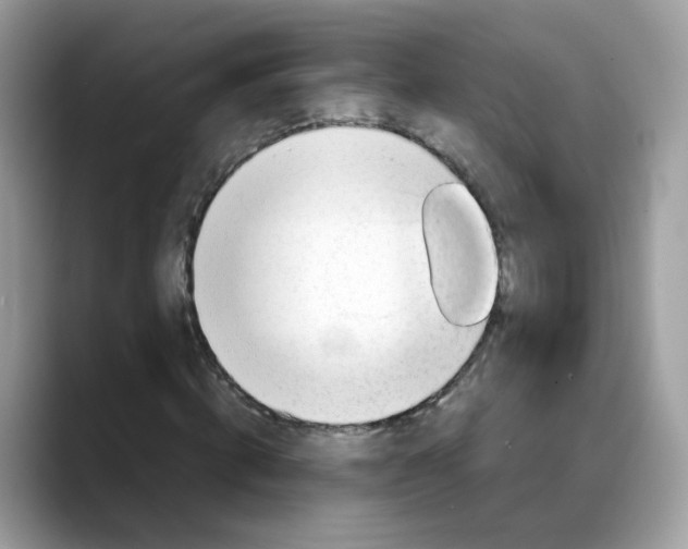 X0000088090820200706081748