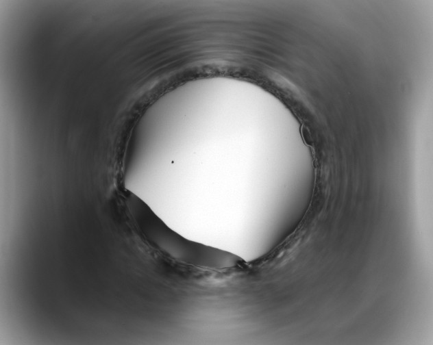 X0000088090822200706081748