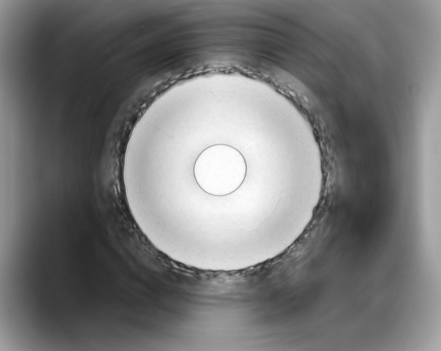 X0000088090824200706081748