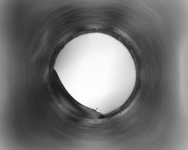 X0000088090825200706081748