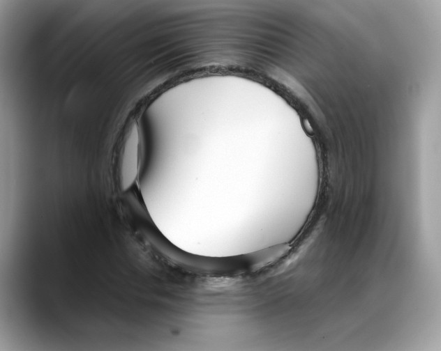 X0000088090826200706081748