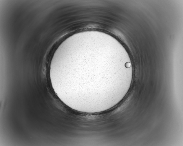 X0000088090827200706081748