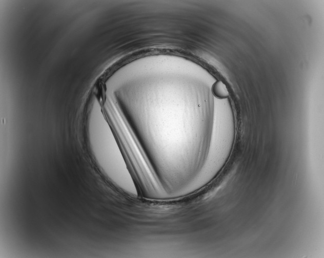 X0000088090829200706081748