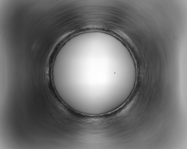 X0000088090830200706081748