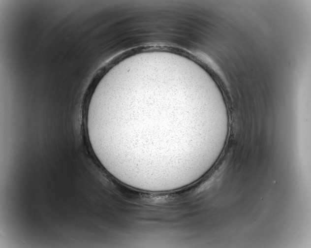 X0000088090831200706081748