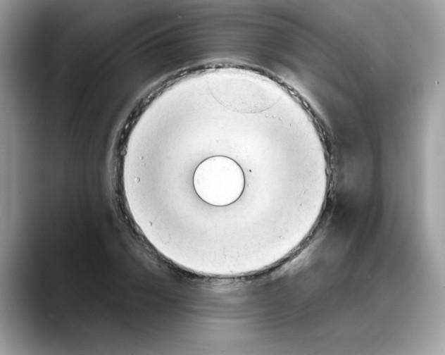 X0000088090832200706081748