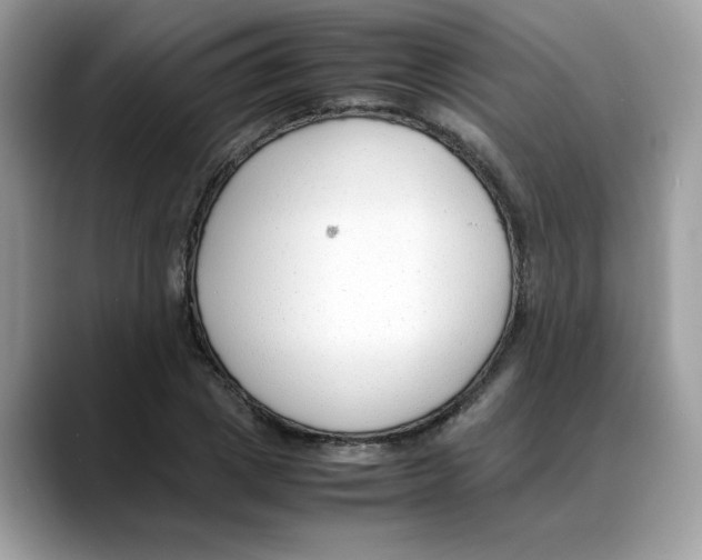 X0000088090833200706081748