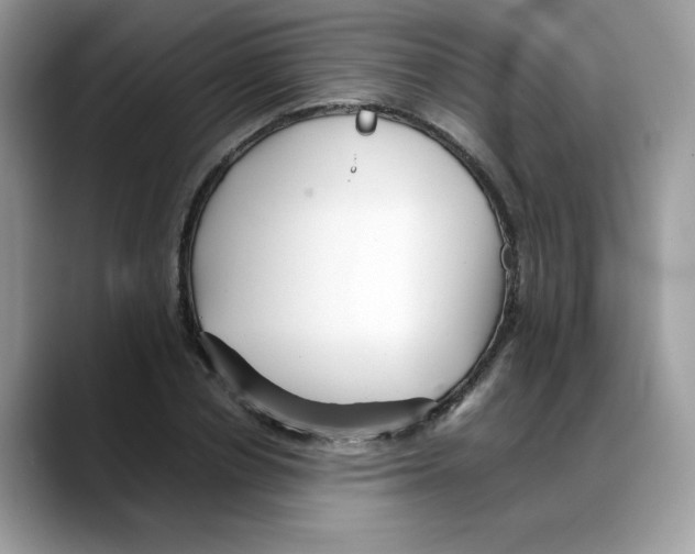 X0000088090834200706081748