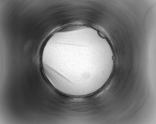 X0000088090835200706081748