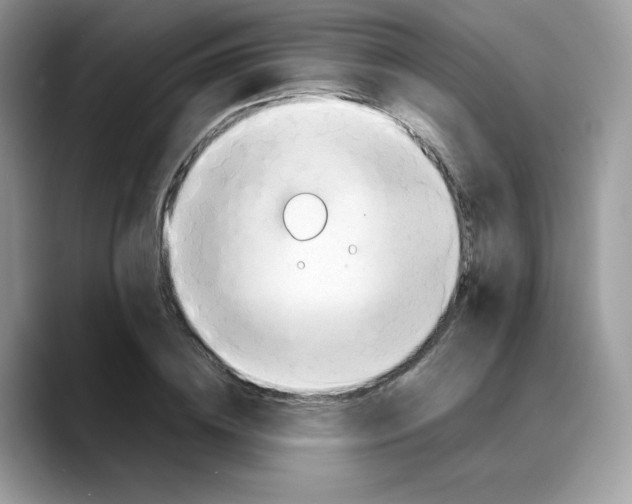 X0000088090836200706081748