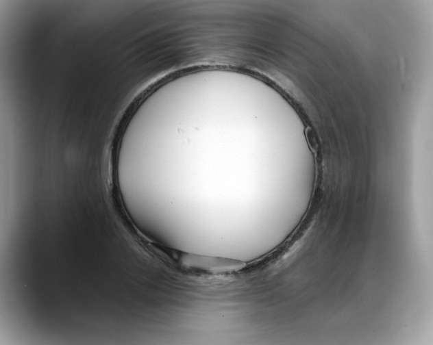 X0000088090838200706081748