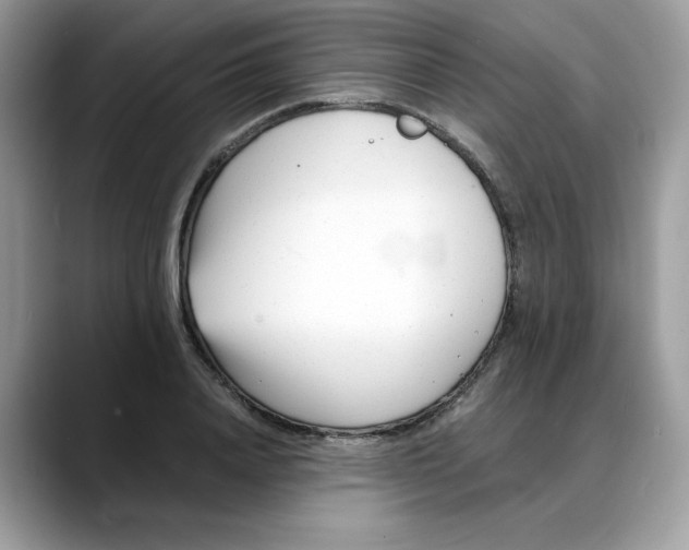 X0000088090840200706081748