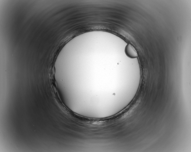 X0000088090841200706081748