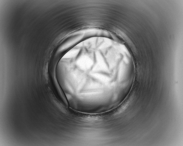 X0000088090842200706081748