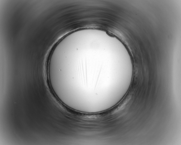 X0000088090843200706081748