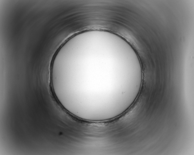 X0000088090844200706081748