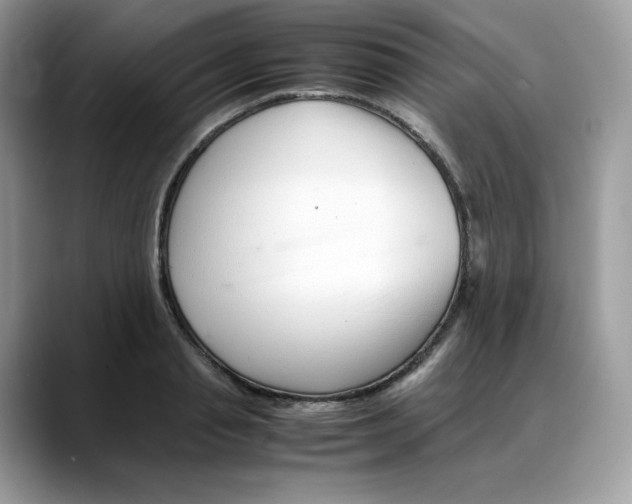 X0000088090845200706081748