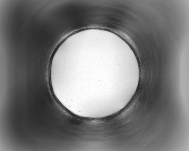 X0000088090847200706081748