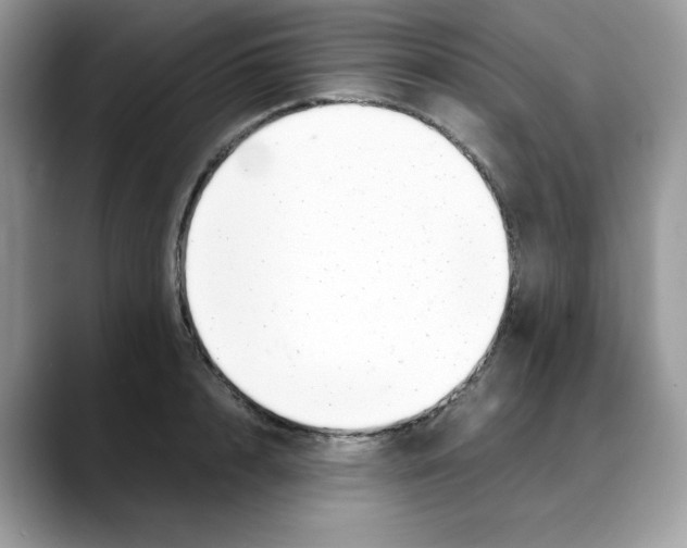 X0000088090848200706081748