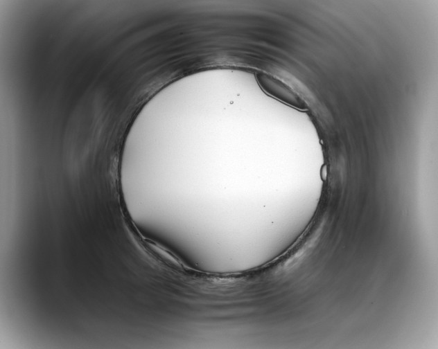 X0000088090849200706081748