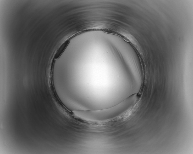 X0000088090850200706081748