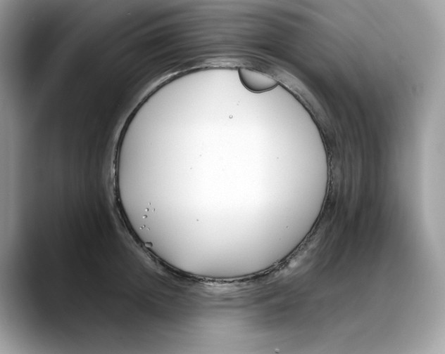 X0000088090852200706081748